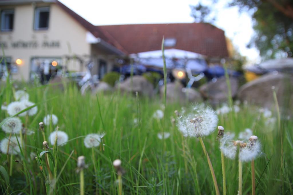 Hotel Müritz-Park Boek Exterior foto
